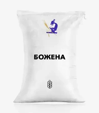 Пшениця яра Божена, т (ІСМАВ НААН)