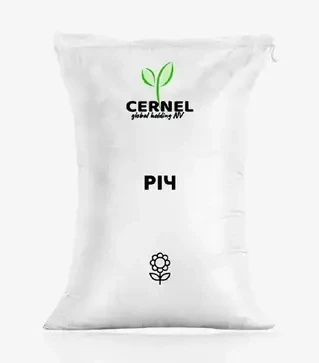 Подсолнечник Rich (Вещь), п.е. 150 тыс. семян (Cernel Global Holding NV)