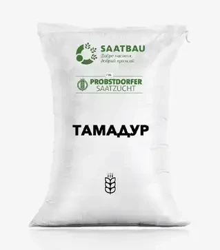Пшениця яра Тамадур, т (Saatbau)
