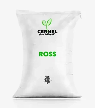 Рапс озимый Ross (Росс), п.е. 1500 тыс. семян (Cernel Global Holding NV)
