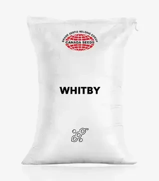 Соя Whitby (Вітбі), т (Sertis)