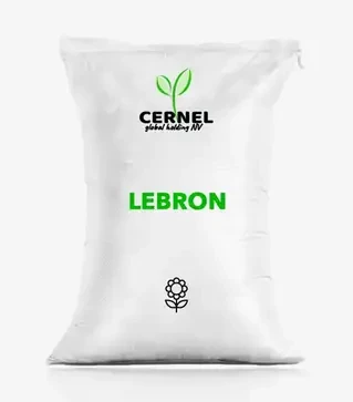 Соняшник Lebron (Леброн), п.о. 150 тис. насінин (Cernel Global Holding NV)