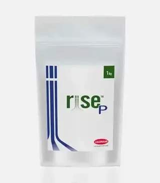 Инокулянт Райс ПИ (сухой), 1 кг (Lallemand Inc.)