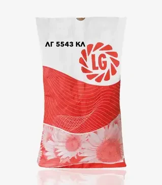 Подсолнечник ЛГ5543 КЛ, п.е. 150 тыс. семян (LG)