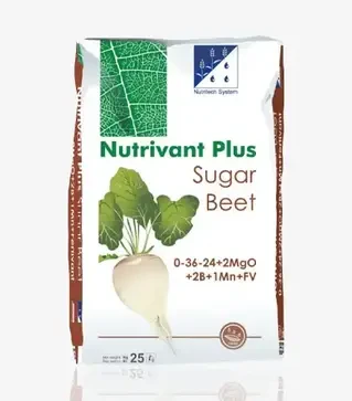 Мікродобриво Нутрівантом Плюс Цукрові буряки, 25 кг (ICL)