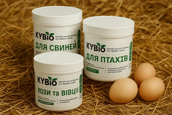 ​​​​​​​Биопрепараты KYBio зимой: практические решения для ферм, работающих каждый день