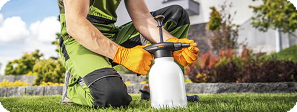 Ад'юванти: економія для аграріїв та користь для довкілля