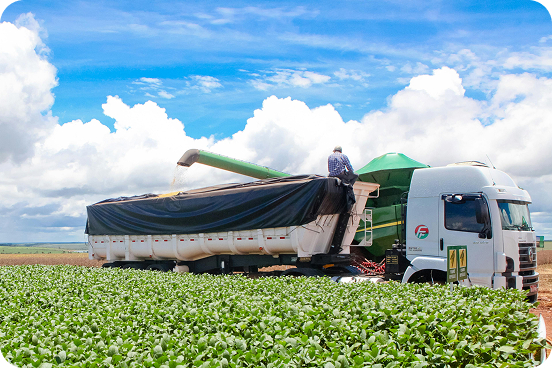 Допоможемо обрати автомобіль